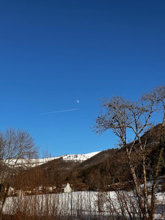 Belle Maison De Ville Au Coeur Du Village De Montagne Vic-sur-Cère エクステリア 写真