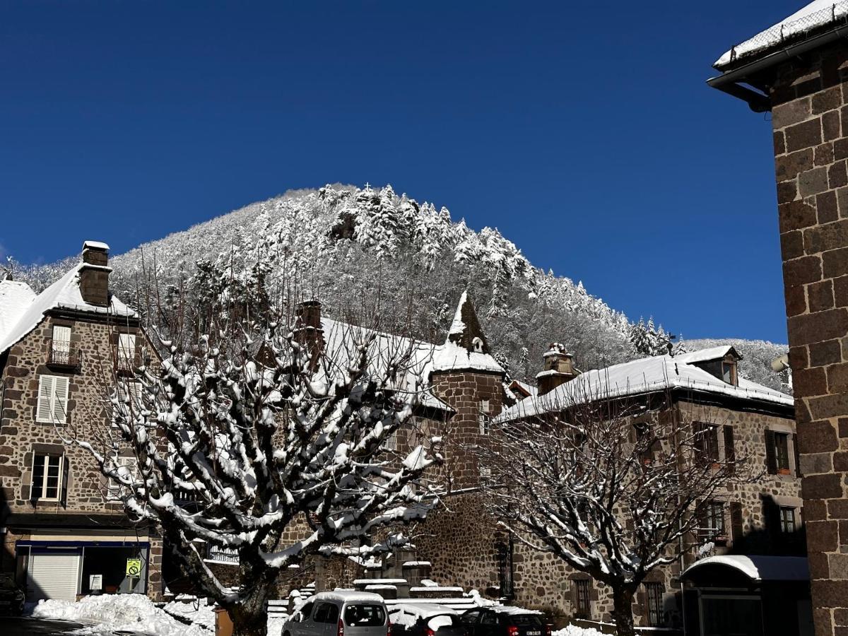 Belle Maison De Ville Au Coeur Du Village De Montagne Vic-sur-Cère エクステリア 写真