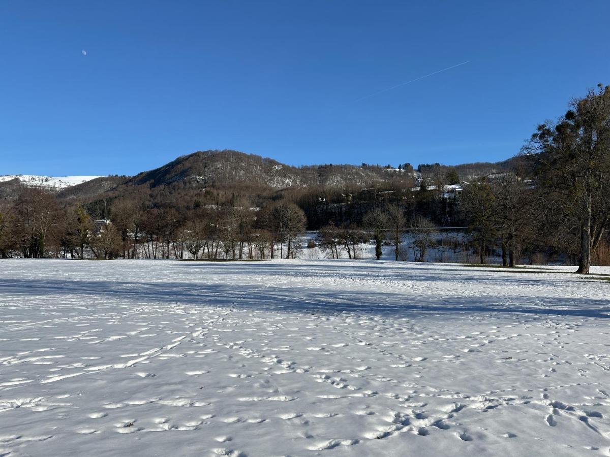 Belle Maison De Ville Au Coeur Du Village De Montagne Vic-sur-Cère エクステリア 写真