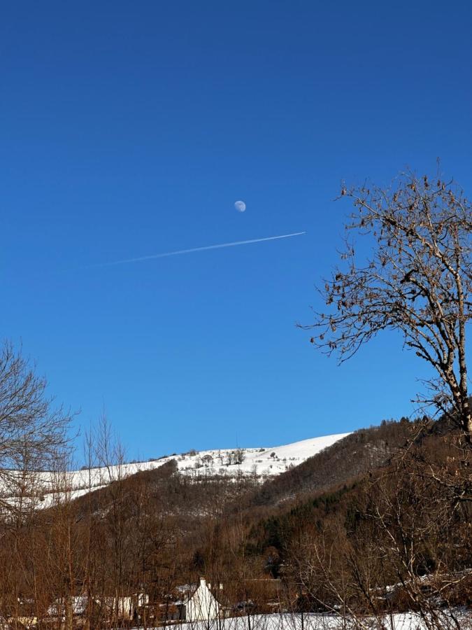 Belle Maison De Ville Au Coeur Du Village De Montagne Vic-sur-Cère エクステリア 写真