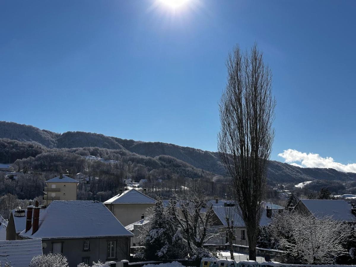 Belle Maison De Ville Au Coeur Du Village De Montagne Vic-sur-Cère エクステリア 写真